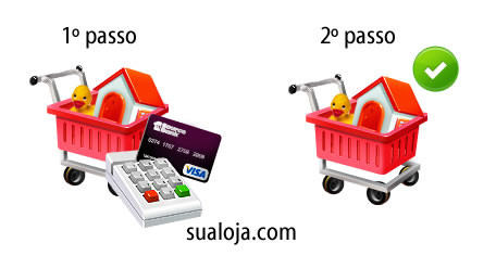 Checkout Transparente
