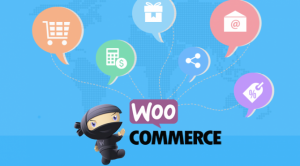 WooCommerce Plugins